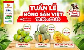 Đưa nông sản Việt lên sàn thương mại điện tử