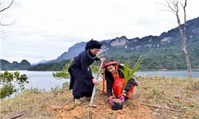 Hà Giang: Trồng mới 1 triệu cây xanh khôi phục rừng đầu nguồn