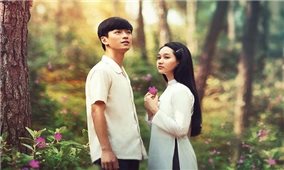 Tổ chức Tuần phim chào mừng Liên hoan Phim Việt Nam lần thứ XXII