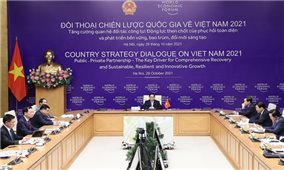 Chính phủ Việt Nam và cá nhân Thủ tướng đã làm việc không mệt mỏi để bảo vệ cuộc sống và sinh kế của người dân