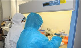 Bộ Y tế đề nghị không sử dụng xét nghiệm kháng thể SARS-CoV-2 sau khi tiêm vaccine