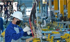 Chỉ thị của Thủ tướng Chính phủ về phục hồi sản xuất tại các khu vực sản xuất công nghiệp