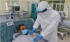Ngày 2/11: Việt Nam có 5.637 ca mắc COVID-19 và 2.741 ca khỏi bệnh