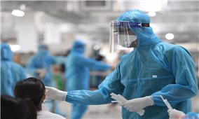 Ngày 11/11: Thêm 8.162 bệnh nhân Covid-19 mới, Việt Nam vượt 1 triệu ca từ đầu dịch