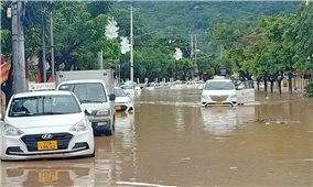 Bình Định: Nhiều nơi sạt lở, ngập lụt sau một đêm mưa lớn