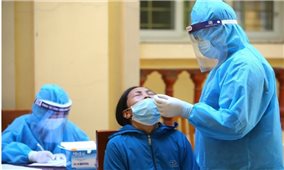 Ngày 16/11: Việt Nam có 9.650 ca mắc COVID-19 và 6.481 ca khỏi bệnh
