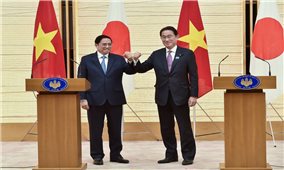 Hai Thủ tướng Việt Nam – Nhật Bản hội đàm, đưa quan hệ hai nước lên tầm cao mới
