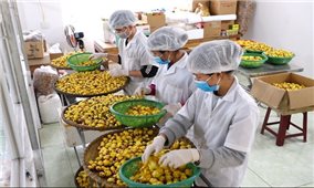 Quảng Ninh với lộ trình triển khai Chương trình mục tiêu quốc gia: Tổ chức lại sản xuất và thu hút đầu tư về vùng khó (Bài 3)
