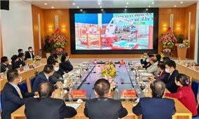 Chủ tịch Quốc hội Lào thăm mô hình sản xuất phân bón hữu cơ vi sinh của Tập đoàn Quế Lâm