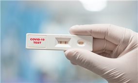 Bạn cần làm gì khi tự test nhanh cho kết quả dương tính SARS-CoV-2?