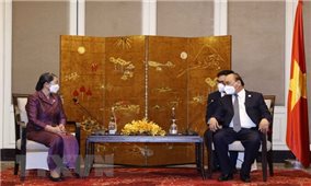 Chủ tịch nước Nguyễn Xuân Phúc tiếp Phó Thủ tướng Campuchia Mem Sam On