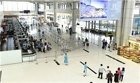 Các hãng hàng không bố trí tăng chuyến bay phục vụ nhu cầu đi lại của nhân dân trong dịp Tết