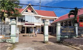 Thành phố Buôn Ma Thuột, Đắk Lắk: Tạm đình chỉ công tác Chủ tịch UBND phường do buông lỏng quản lý đất đai