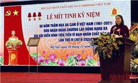 Mít-tinh Kỷ niệm 60 năm thảm họa da cam ở Việt Nam