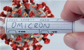 Việt Nam ghi nhận ca nhiễm biến thể Omicron đầu tiên