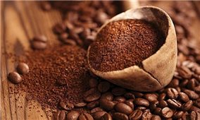 Giá cà phê hôm nay 30/12: Giá cà phê Robusta tăng 2.500 USD/tấn