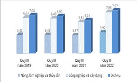 Dấu ấn bảo đảm quyền con người trong lĩnh vực lao động-xã hội của Việt Nam: Thúc đẩy việc làm bền vững (Bài 1)