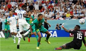 World Cup 2022: Đại thắng Senegal, Anh chờ Pháp ở Tứ kết