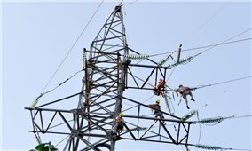 Tổng công ty Điện lực miền Bắc khởi công 7 dự án lưới điện trong tháng 8/2022