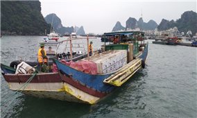 Quảng Ninh: Buôn lậu, gian lận thương mại dịp cuối năm đang tăng cao