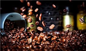 Giá cà phê hôm nay 2/1: Thị trường giá cà phê thế giới tiếp tục giảm