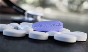 Hơn 300.000 liều thuốc Molnupiravir trong điều trị Covid-19 có kiểm soát được phân bổ cho 51 tỉnh, thành