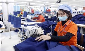 Chính sách mới có hiệu lực từ tháng 2/2022