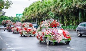 Valentine 2022: Ấn tượng với rừng hoa với 99.999 bông hồng tại Ecopark