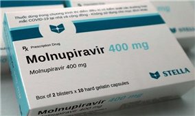 Bộ Y tế cấp phép 3 loại thuốc chứa Molnupiravir sản xuất trong nước