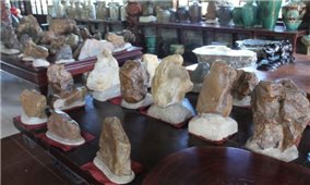 Hoa Tài Ngọc Châu- Bảo tàng đá lớn nhất Việt Nam tại Lâm Đồng