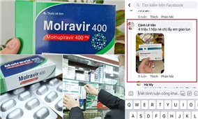 Cẩn thận để tránh mua phải thuốc Molnupiravir giả