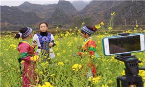 Tour Du lịch Online giới thiệu mùa hoa trên Cao nguyên đá