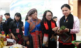 Phụ nữ Việt Nam góp phần xây dựng và bảo vệ tổ quốc