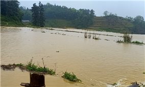 Lào Cai: Mưa lớn gây ngập úng cục bộ một số địa phương