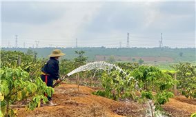 Gia Lai: Cây trồng vụ đông xuân không còn lo thiếu nước tưới trong mùa khô