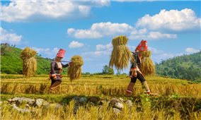 Bình Liêu (Quảng Ninh): Ưu tiên nguồn lực nâng chất tiêu chí và đạt chuẩn nông thôn mới