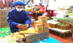 Đồng Văn (Hà Giang): Hỗ trợ đưa các sản phẩm nông sản lên sàn thương mại điện tử