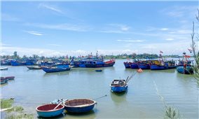 Quảng Ngãi, Bình Định chủ động ứng phó với thời tiết nguy hiểm trên biển và mưa lớn