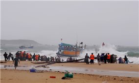 Phú Yên: Mưa lớn và triều cường đánh chìm 50 tàu cá, thủy sản nuôi thiệt hại nặng nề