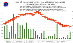 Ngày 31/3: Việt Nam có 80.838 ca mắc COVID-19 và 250.482 ca khỏi bệnh
