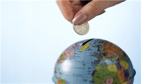 Hướng dẫn giám sát, đánh giá hoạt động đầu tư nước ngoài