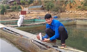 Nuôi cá lồng, thanh niên người Thái kiếm hàng trăm triệu đồng mỗi năm
