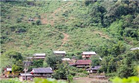 Vấn nạn ma túy vẫn 