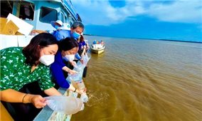 Sóc Trăng: Thả 4,3 triệu con giống tái tạo nguồn thuỷ sản
