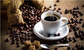 Giá cà phê hôm nay 9/4: Cà phê Arabica quay đầu tăng mạnh