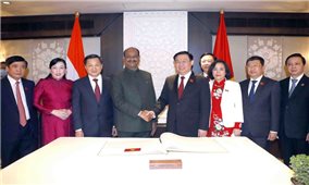 Chủ tịch Hạ viện Ấn Độ thăm chính thức Việt Nam