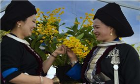 Khai mạc triển lãm và thi hoa lan “Hương sắc Lai Châu lần thứ V” năm 2022