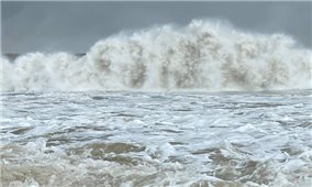 Các tỉnh, thành phố từ Quảng Ninh đến Quảng Bình chủ động ứng phó với gió mạnh trên biển