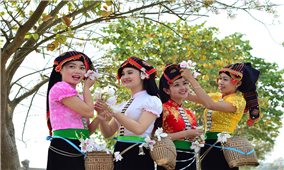Hội thảo khoa học Bảo tồn, phát huy giá trị trang phục truyền thống các dân tộc Điện Biên