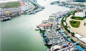 Quảng Ninh: Nguy cơ nhiều tàu du lịch vẫn phải nằm bờ trong đợt nghỉ lễ 30/4 - 1/5